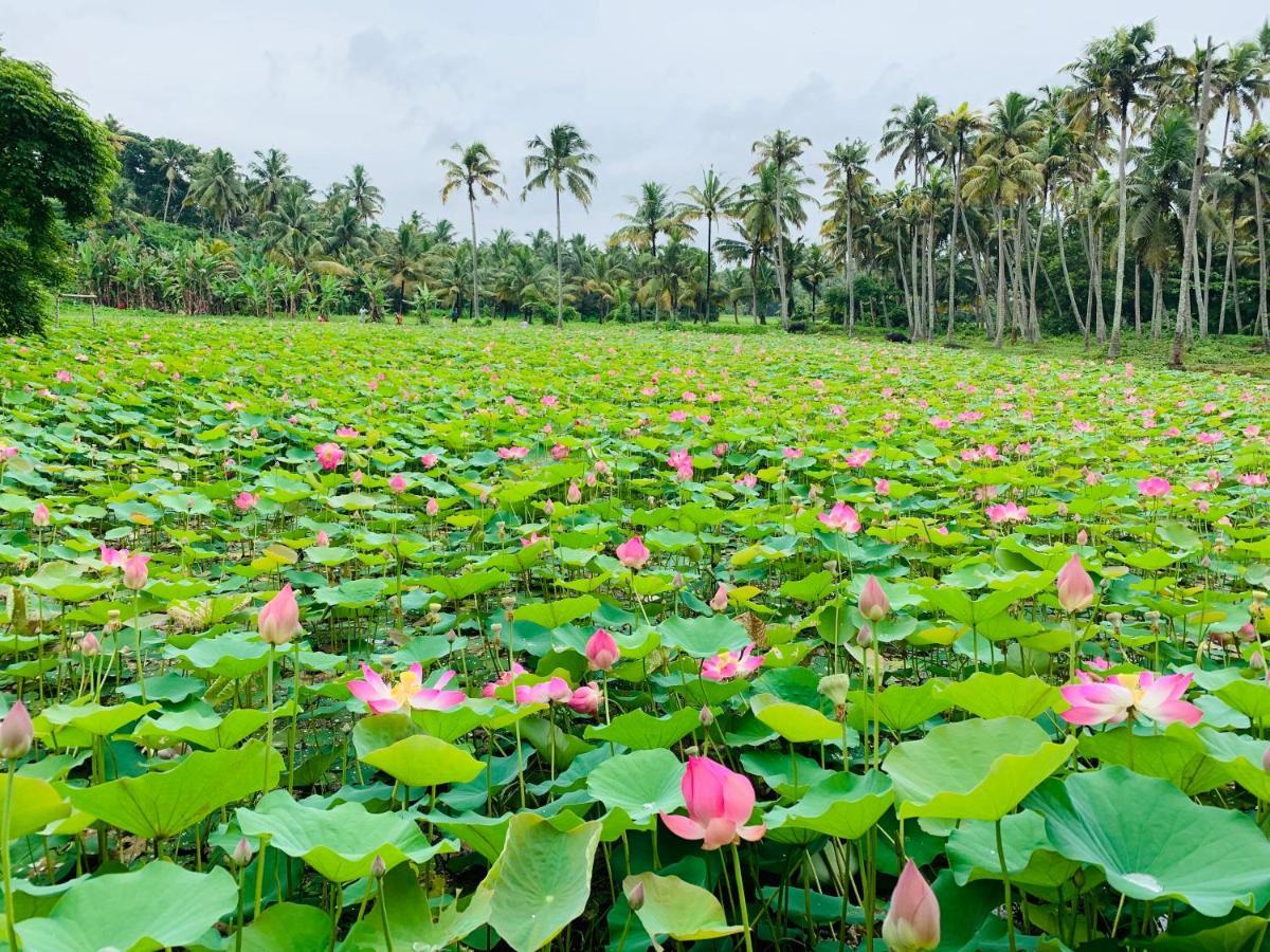 Maadathil Cottages Varkala Buitenkant foto