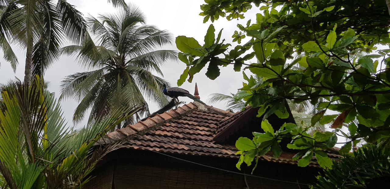 Maadathil Cottages Varkala Buitenkant foto